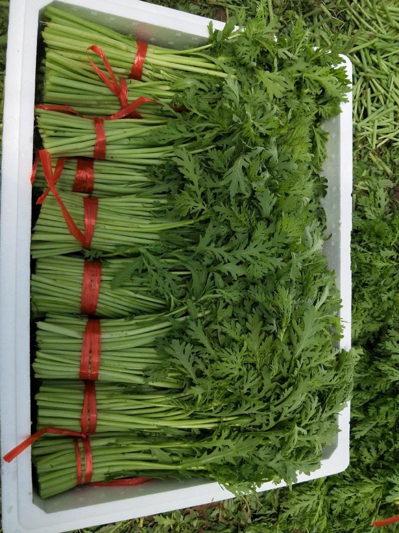 茼蒿】质量好，价格优