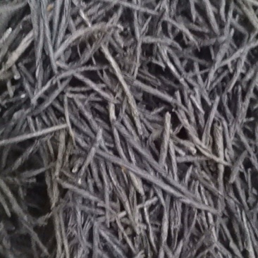 苦丁大量批发零售质量保证可视频看货