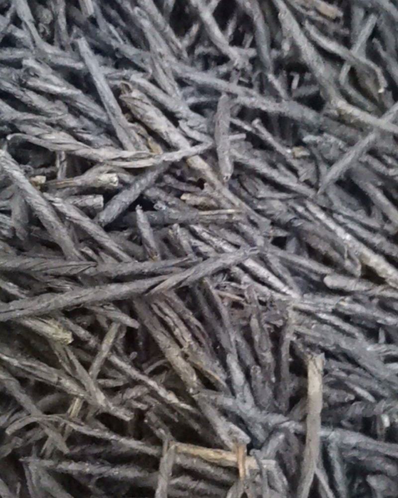 苦丁大量批发零售质量保证可视频看货
