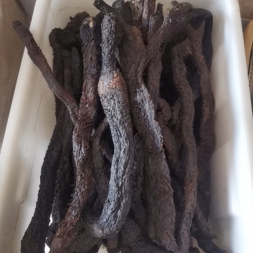 肉苁蓉可大量批发零售可视频看货，诚信为本质量保证