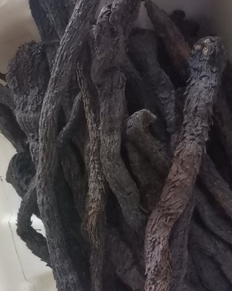 肉苁蓉可大量批发零售可视频看货，诚信为本质量保证
