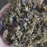 葛花质量保证可视频看货大量批发零售