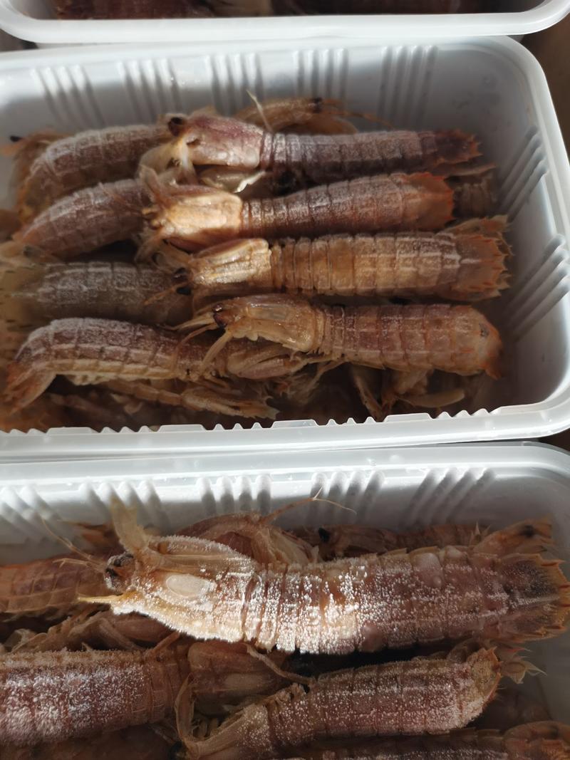 皮皮虾，鲜活速冻熟皮皮虾，可供自助餐，饭店市场批发，