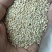 藜麦米23年新货优质灰藜麦米已脱皮颗粒饱满5斤起批包邮