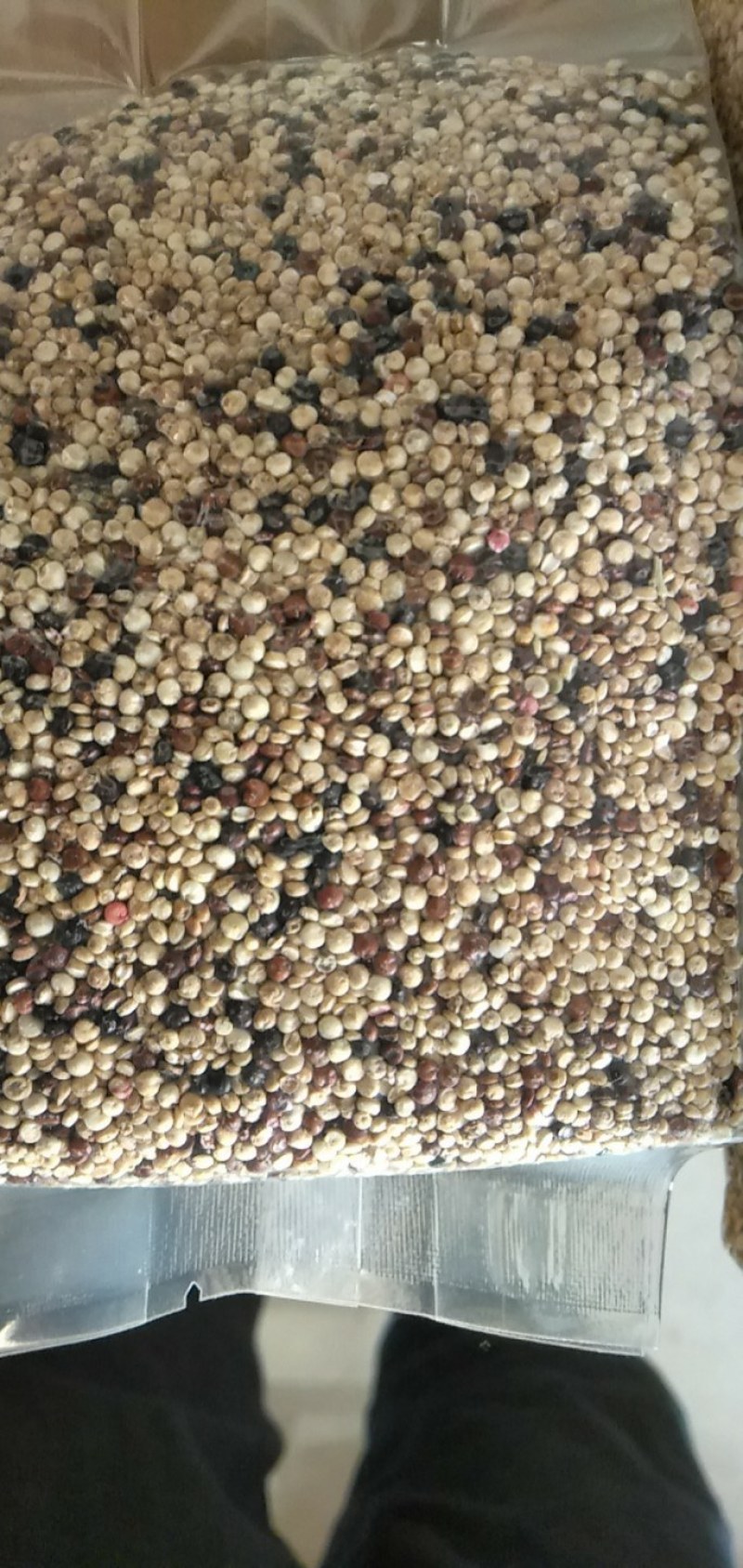 藜麦米23年新货优质灰藜麦米已脱皮颗粒饱满5斤起批包邮