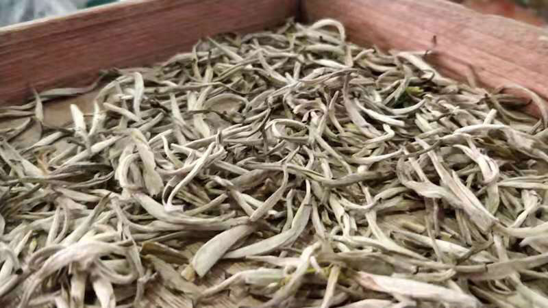 一级茶王茉莉花茶金针茶王广西横县茉莉花金针王