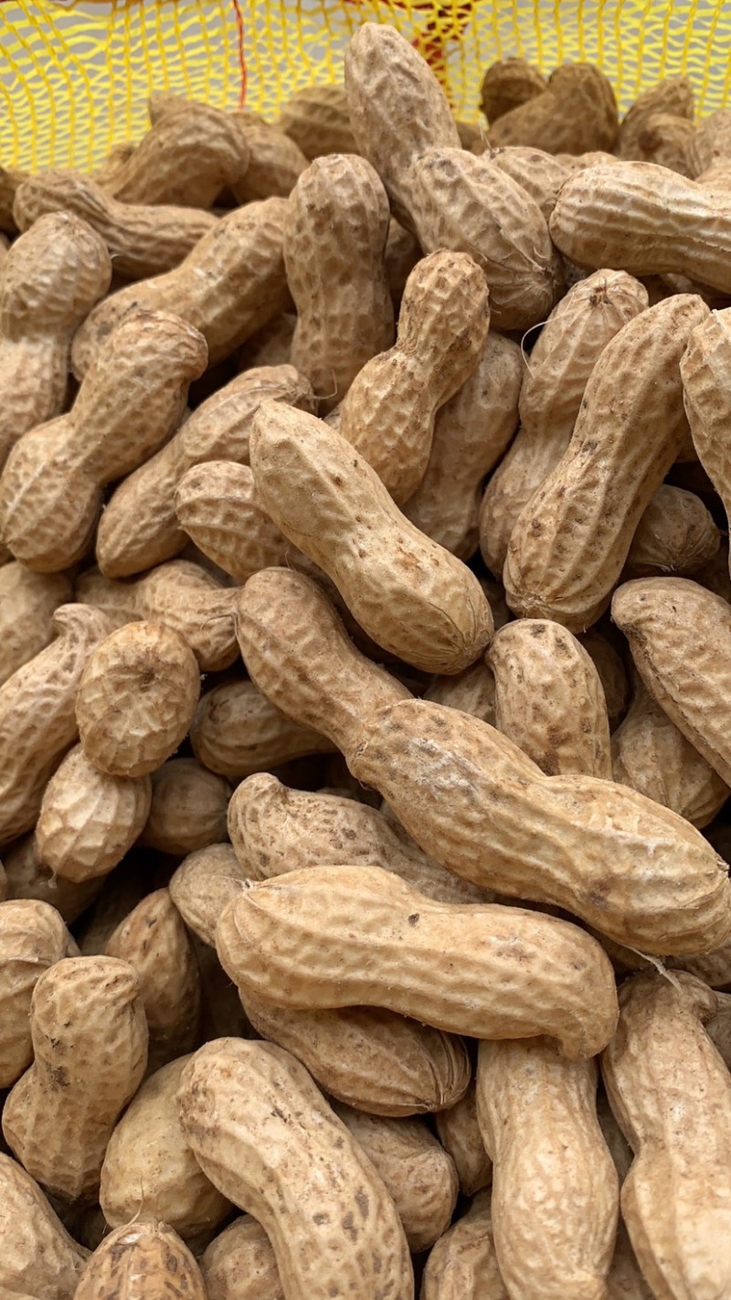 精品鲜花生🥜代收代发，供电商，超市、发市场货。