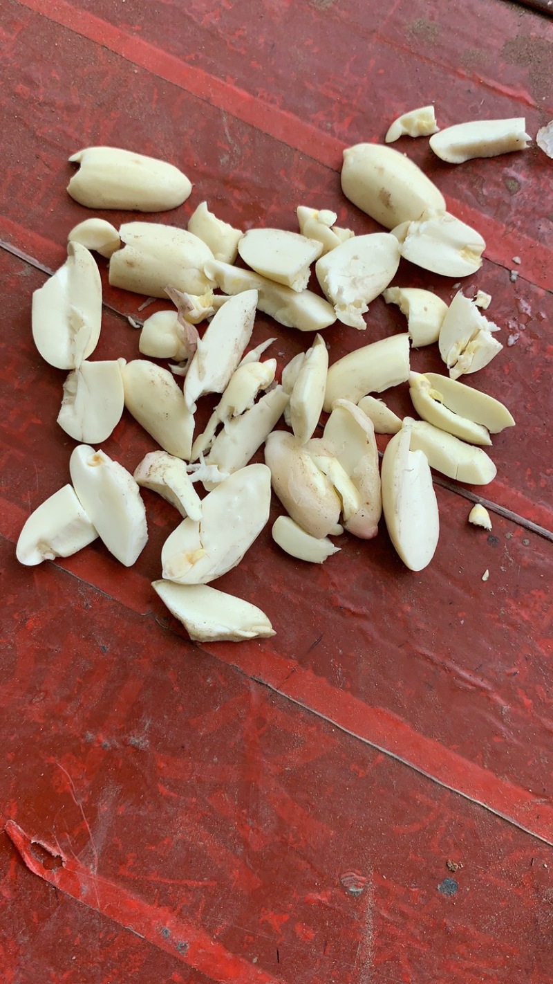 精品鲜花生🥜代收代发，供电商，超市、发市场货。