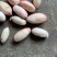 精品鲜花生🥜代收代发，供电商，超市、发市场货。