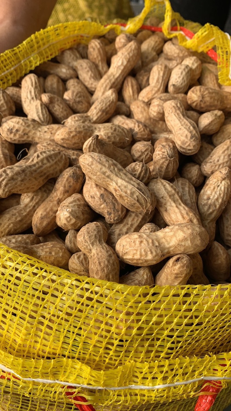 精品鲜花生🥜代收代发，供电商，超市、发市场货。