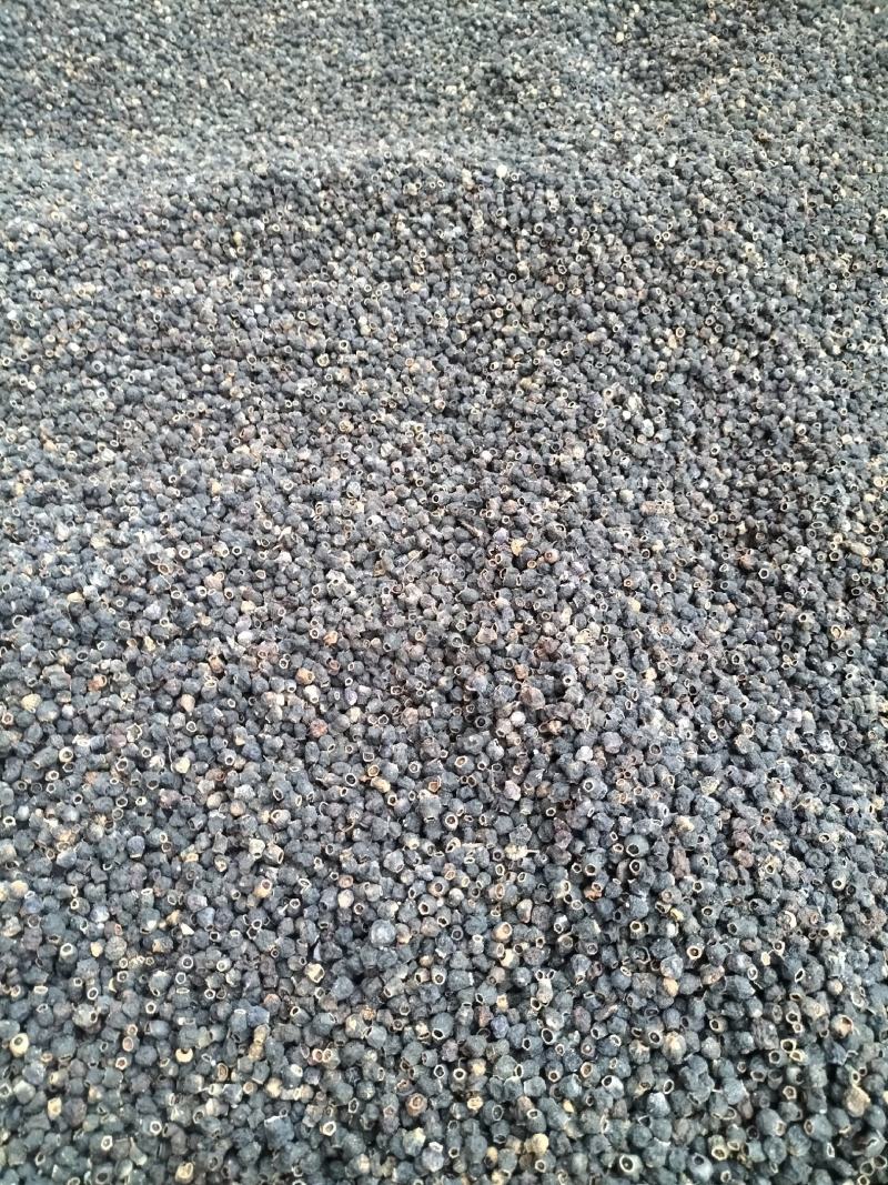 广东野生地菍干，大货供应，欢迎广大客商合作共赢。
