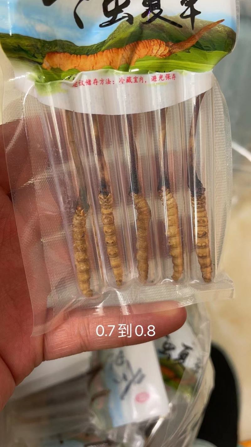今年的虫草这两天的价格