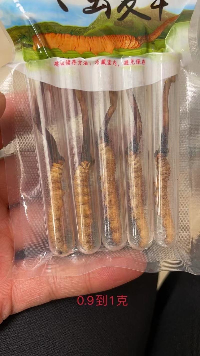 今年的虫草这两天的价格