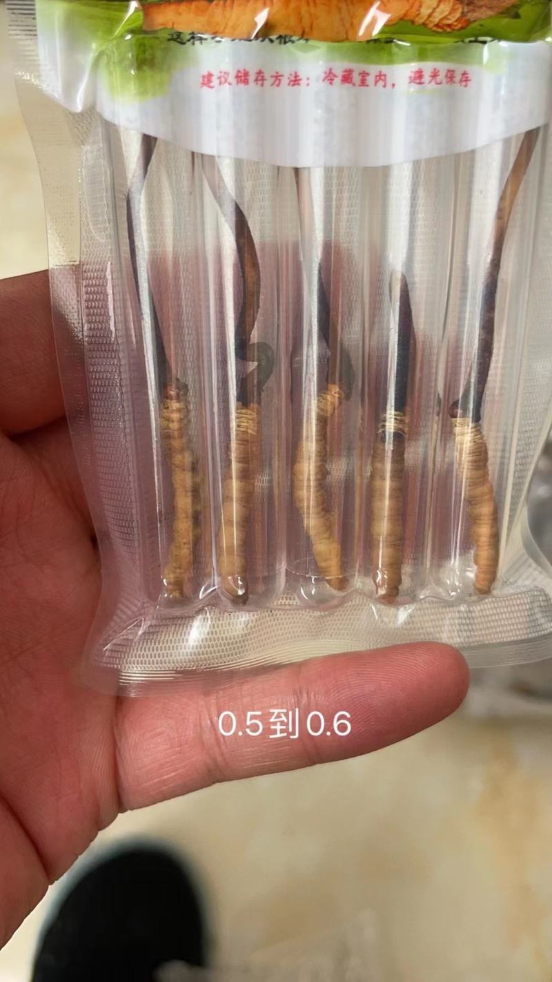今年的虫草这两天的价格