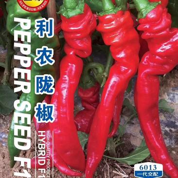 利农螺丝椒种子，辣味浓，产量高，品质好，购买请联系