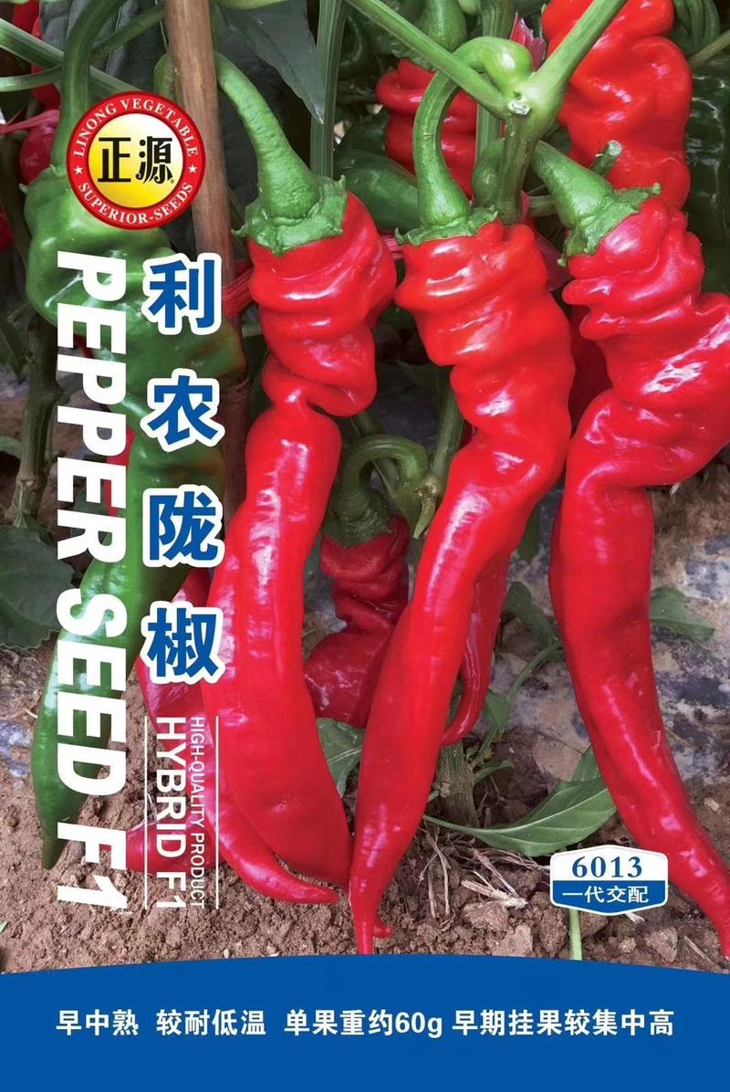 利农螺丝椒种子，辣味浓，产量高，品质好，购买请联系