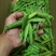 豌豆荚