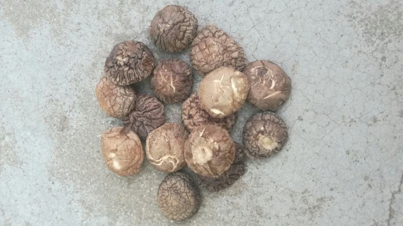 香菇干货香菇冬菇
