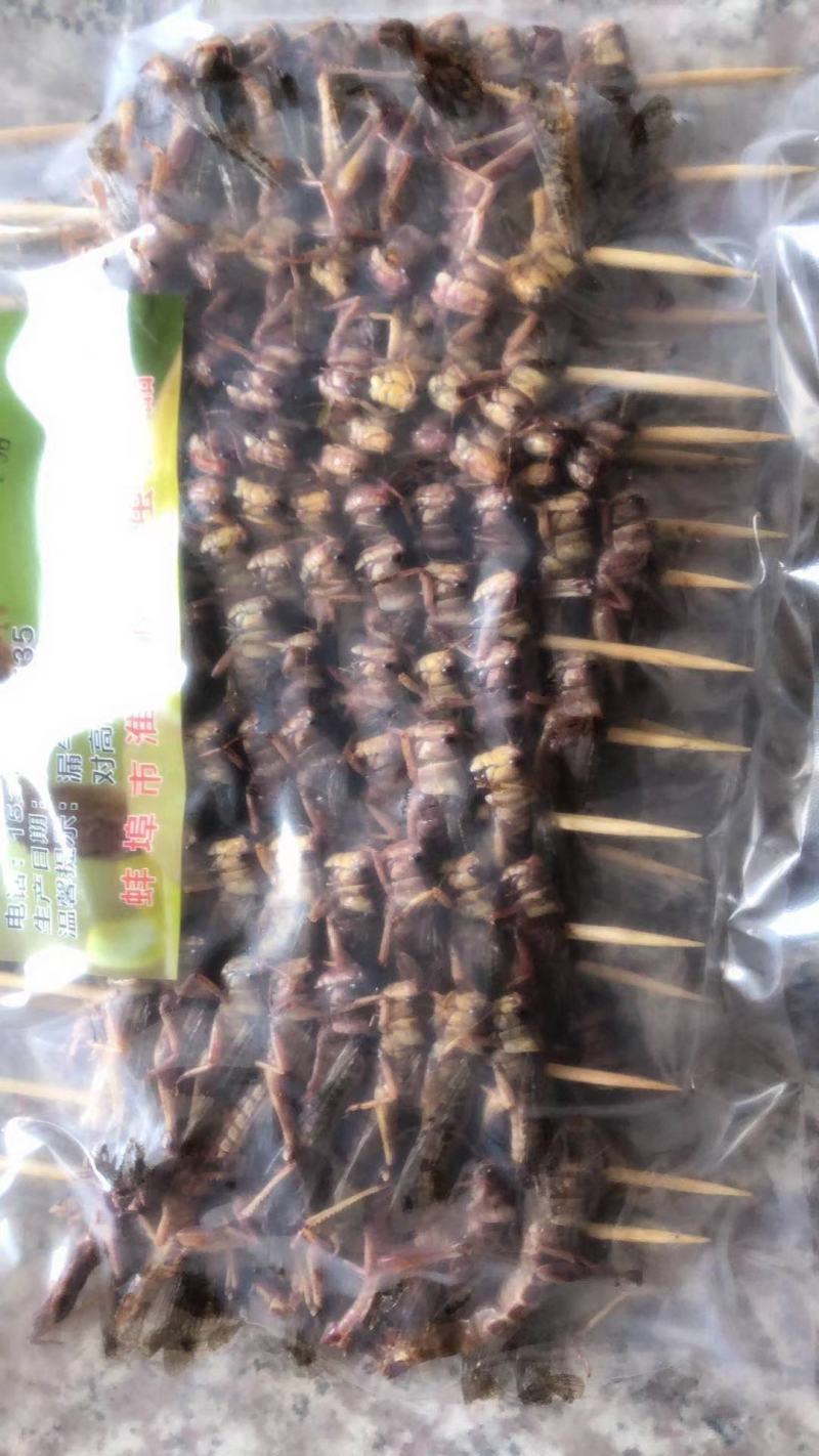 蚌埠市蚂蚱东亚飞蝗蝗虫串蚂蚱串烧烤油炸专用