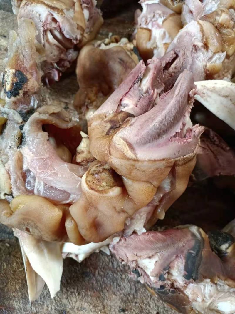 火烧去骨牛蹄，支持样品支持看货厂家直销，证件齐全