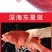 深海燕尾东星斑500-600g石斑鱼深海鲜活速冻新鲜