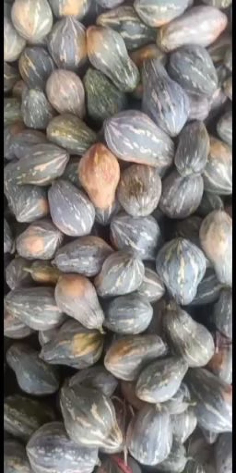 香芋南瓜小南瓜带香芋味南瓜横县香芋小南瓜