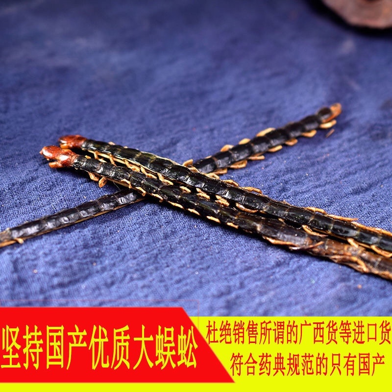 蜈蚣中药材蜈蚣条装货、蜈蚣皮、蜈蚣种苗、产地直销