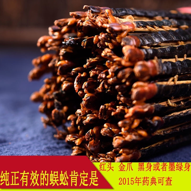 蜈蚣中药材蜈蚣条装货、蜈蚣皮、蜈蚣种苗、产地直销