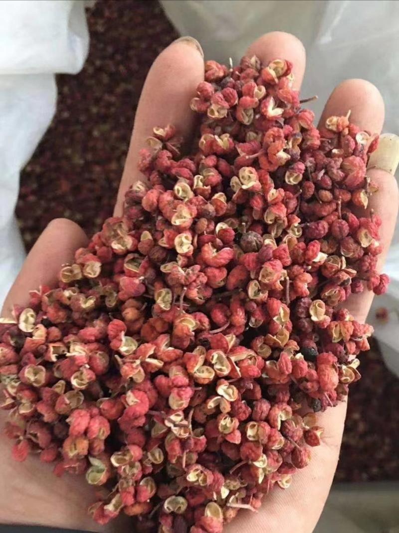 精品韩城大红袍花椒产地一手货源，颜色红味道香，