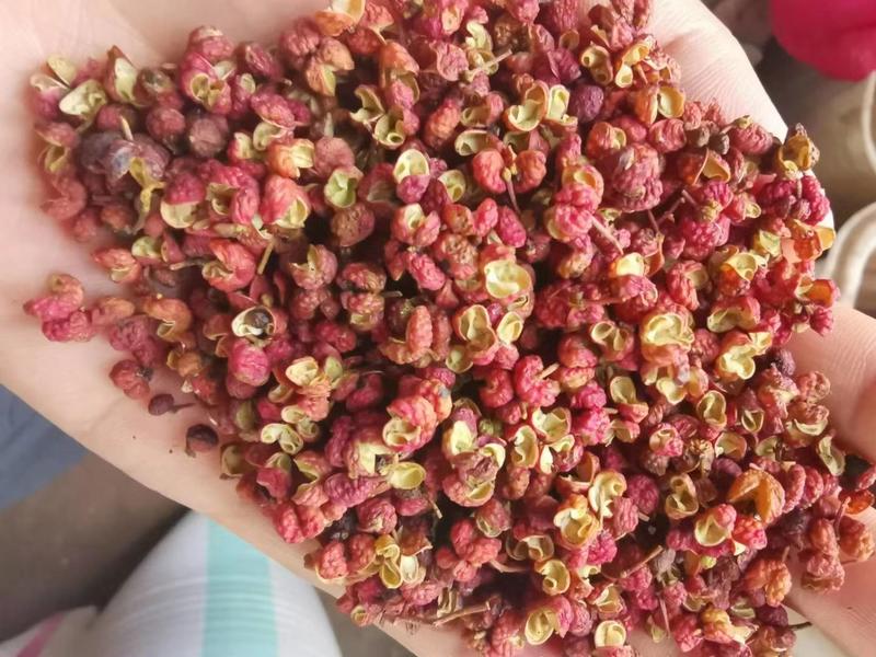 精品韩城大红袍花椒产地一手货源，颜色红味道香，
