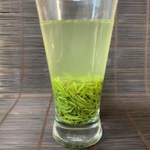 信阳毛尖绿茶2021新茶