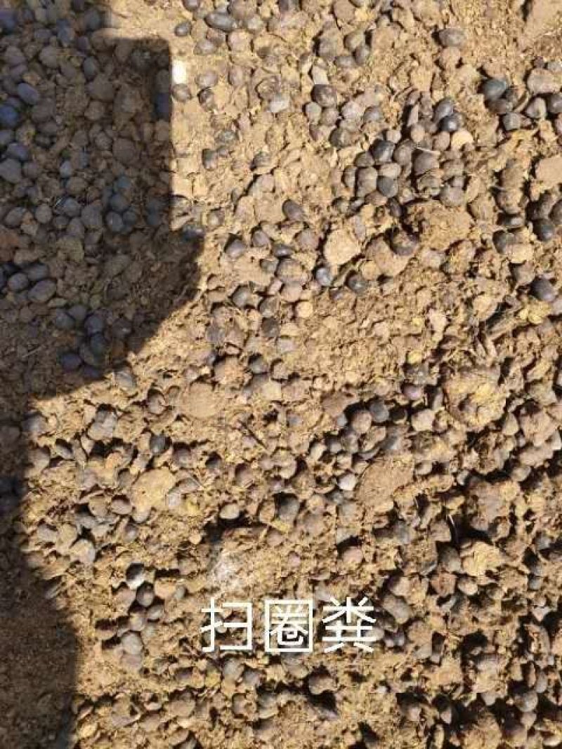 羊粪，内蒙古大草原发酵纯羊粪