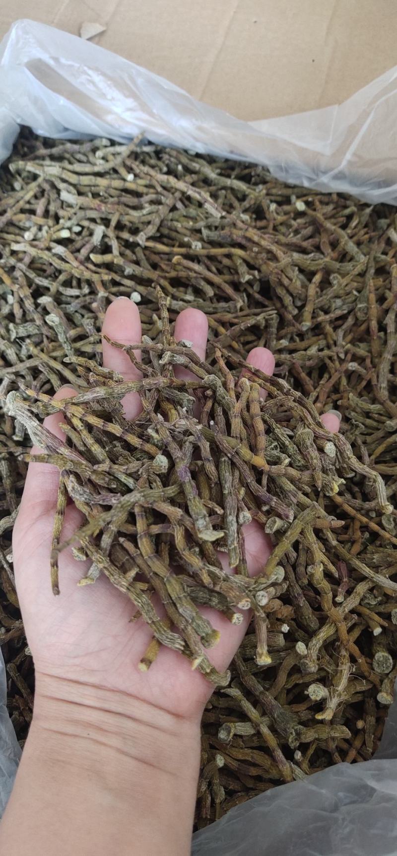 精选雁荡山正宗软脚铁皮石斛干条烤条捆/寸金条/全化渣