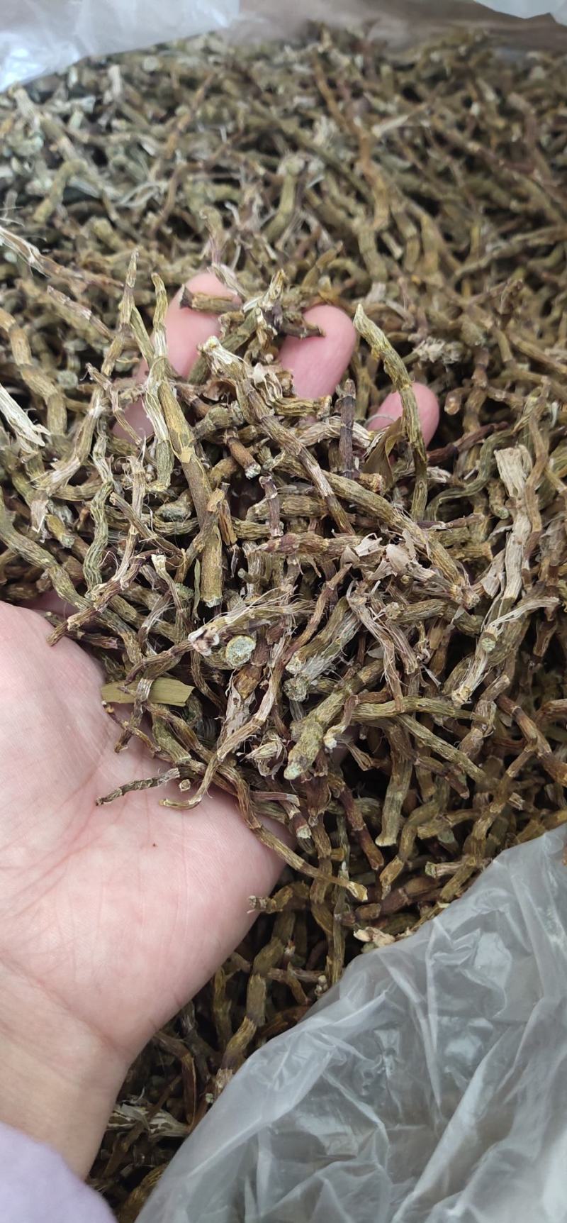 精选雁荡山正宗软脚铁皮石斛干条烤条捆/寸金条/全化渣
