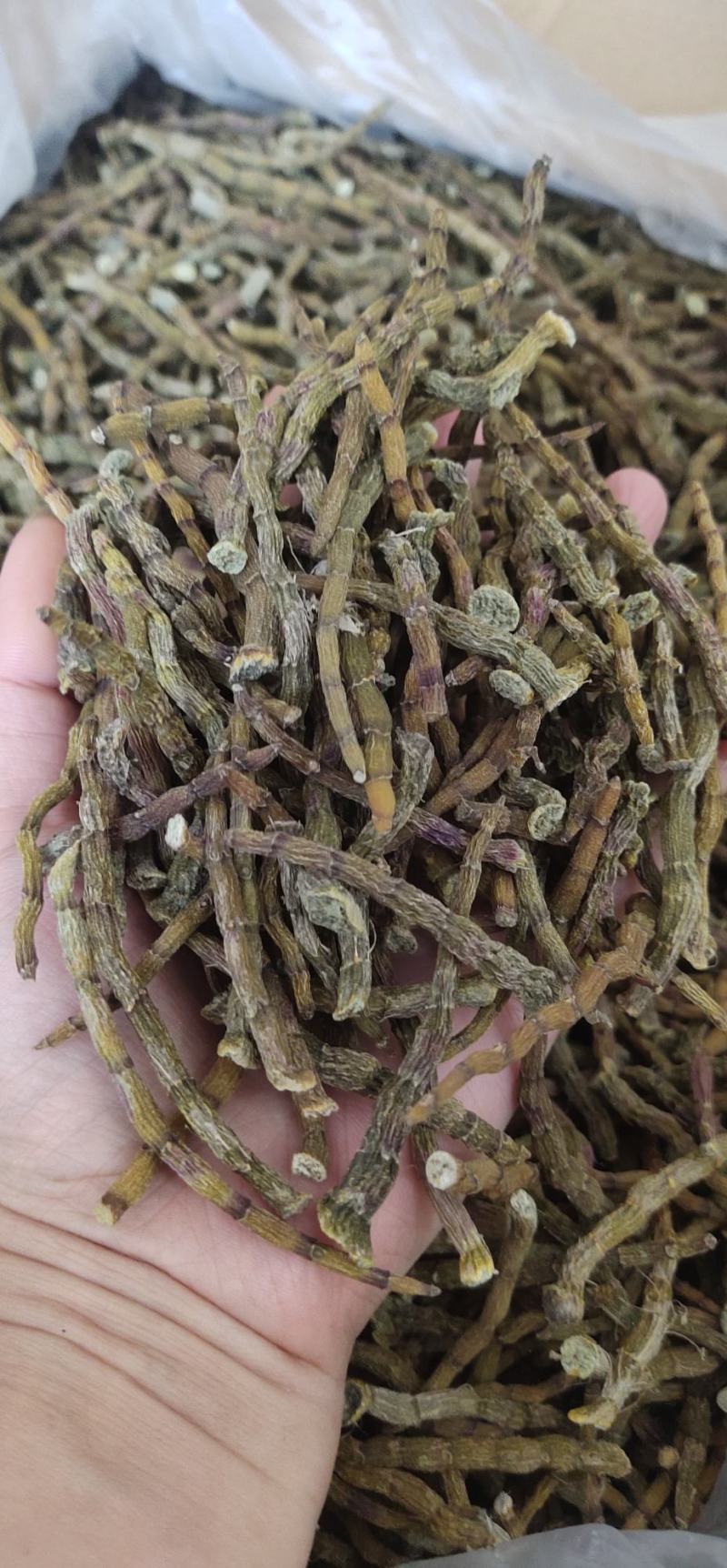 精选雁荡山正宗软脚铁皮石斛干条烤条捆/寸金条/全化渣