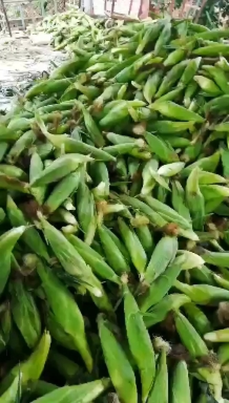 万诺2000万诺188大量上市价格美丽质量保证