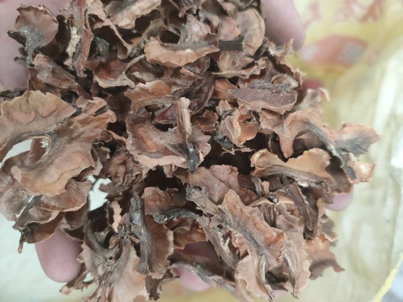 河北深山老树核桃分心木