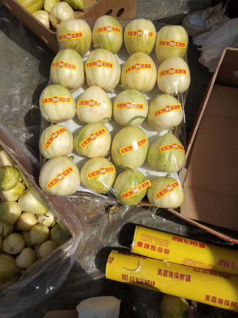 辽宁锦州凌海香瓜，质量有保障，产地货源。
