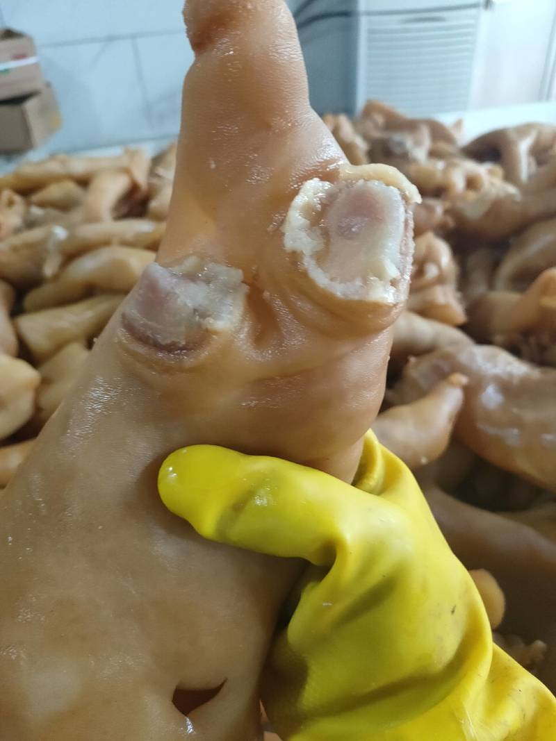 熟牛蹄皮大量加工厂家直销