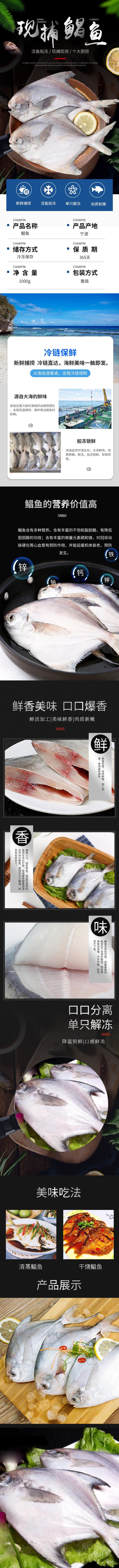 东海捕捞银鲳鱼新鲜鲜活冷冻海鲜水产平鱼海捕银昌鱼白鳊鱼