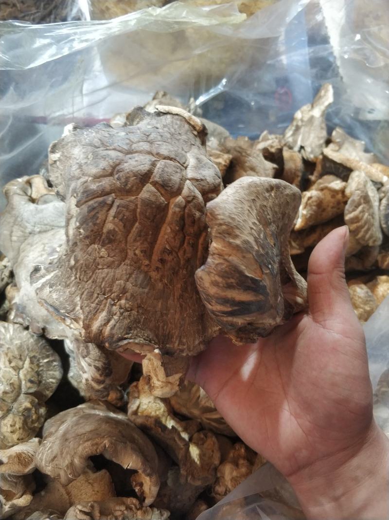 【随州干香菇/冬菇】品种齐全剪脚厚肉农家特产