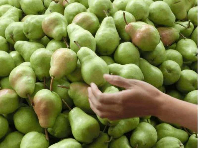大头梨香蕉梨黄梨产地直发品质保证一手货源
