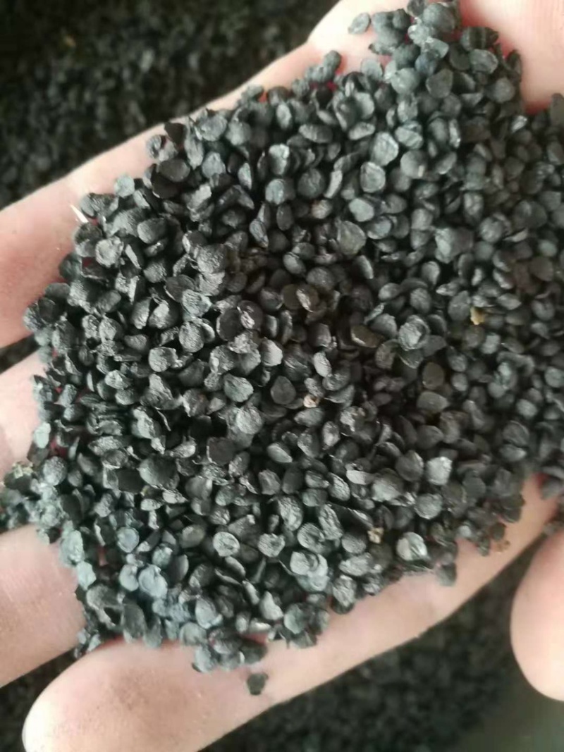 药材韭菜籽货品质量保证批发各种中药材