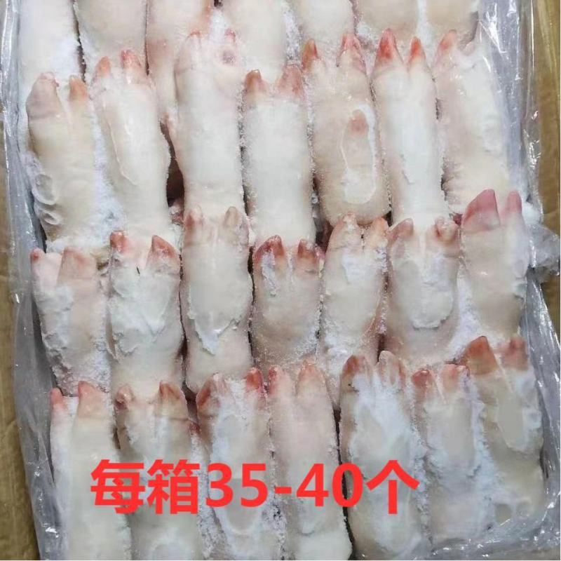 冷冻新鲜猪蹄带筋小猪带筋前猪蹄生猪手烧烤批发带箱20斤