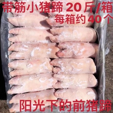 冷冻新鲜猪蹄带筋小猪带筋前猪蹄生猪手烧烤批发带箱20斤