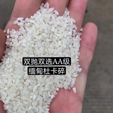 东南亚进口碎米，大米