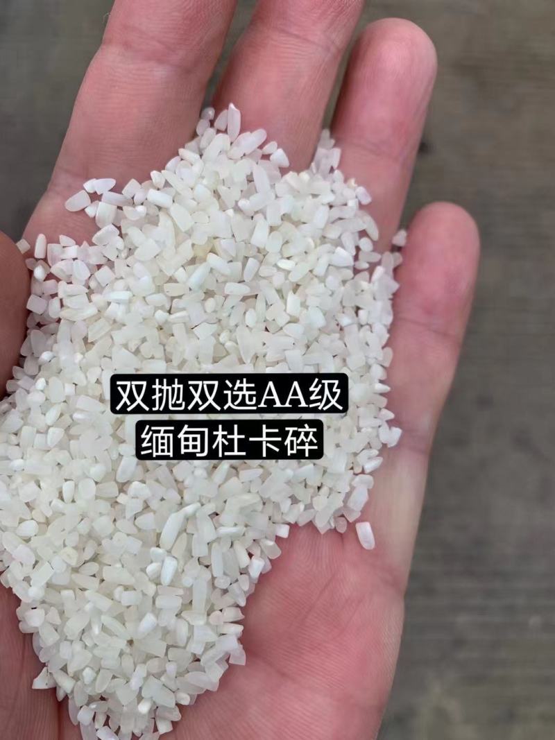 东南亚进口碎米，大米