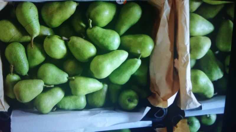 梨茄梨半面红梨一面红梨伏梨大量上市基地直供