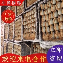 推荐传统包泥松花皮蛋，集会市场，江湖爆品，半包全包自由选