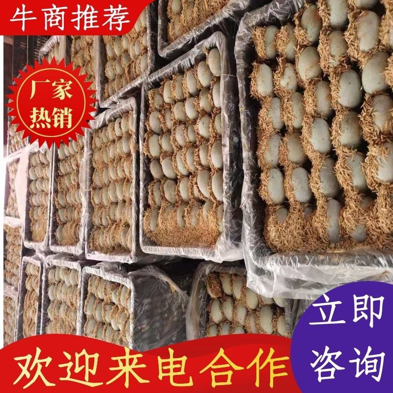 推荐传统包泥松花皮蛋，集会市场，江湖爆品，半包全包自由选